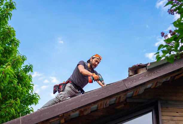 Best Green or Eco-Friendly Roofing Solutions  in Century, FL